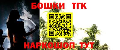 МДПВ Бийск
