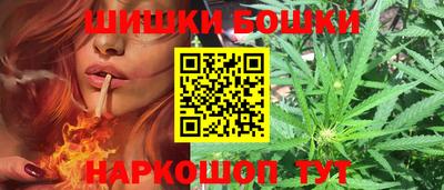 МДПВ Бийск