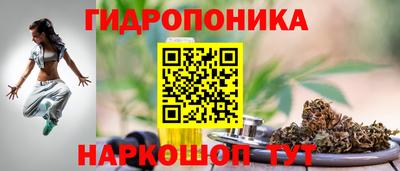 МДПВ Бийск