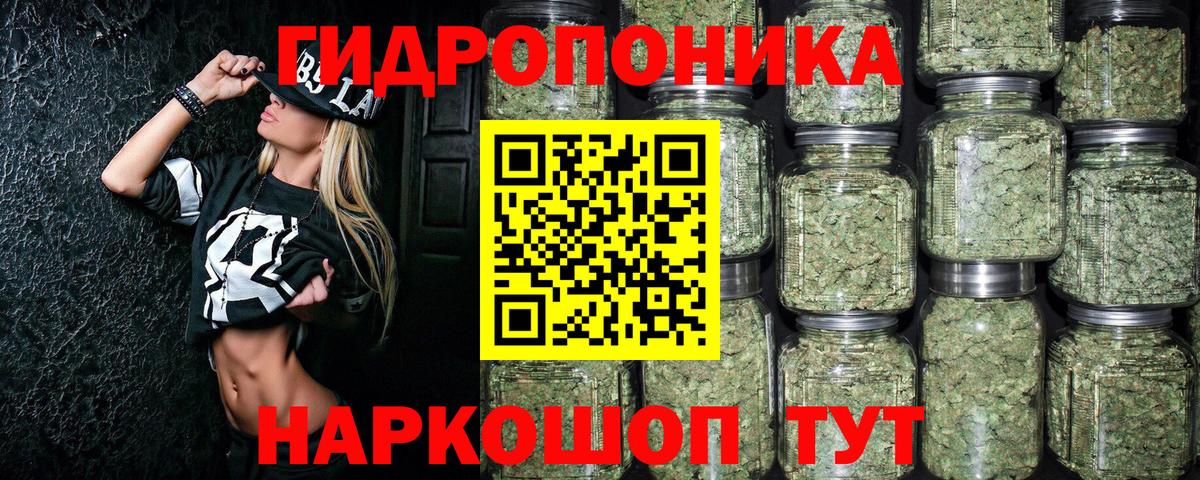Канабис гибрид  Вход с VPN  Конопля тримм  Жуковский  Марихуана семена 
